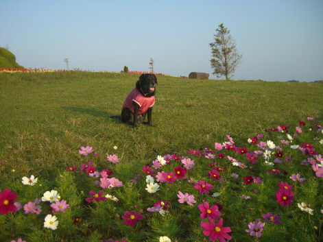 2011.10.1-13