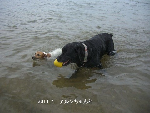 2011.7.琵琶湖6