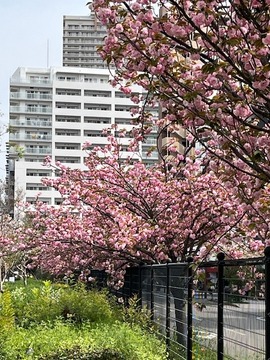 IMG_1591