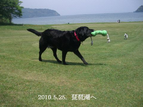 2010.5.25.琵琶湖へ