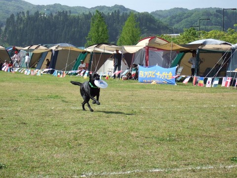 2005_0504(007)