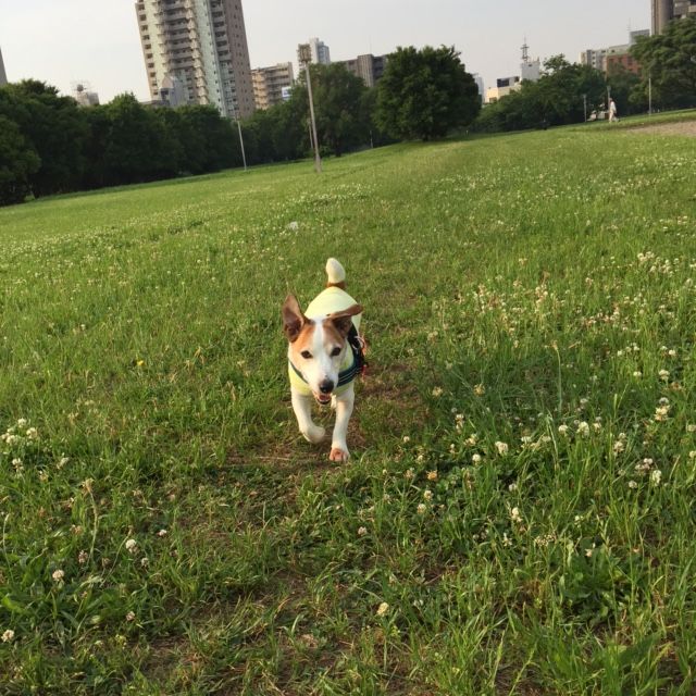 イメージ 2