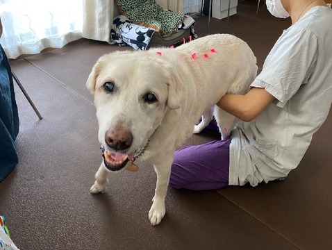 7ED341C3-54D8-482C-93C5-E6293D4CBB89