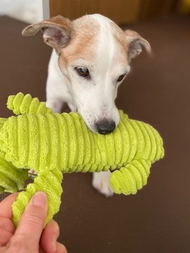 IMG_4176
