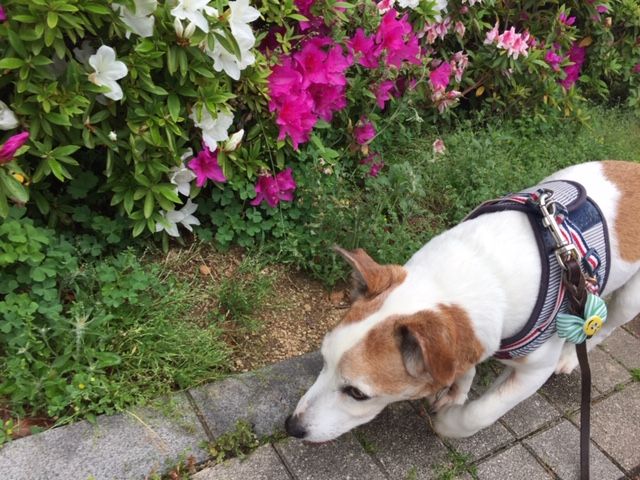 イメージ 3