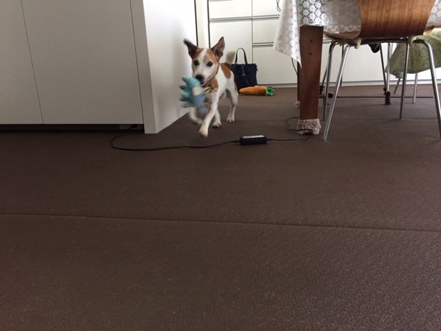 イメージ 4