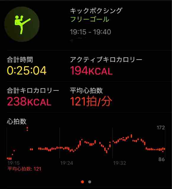 レズミルズ ボディコンバット 41.43.46