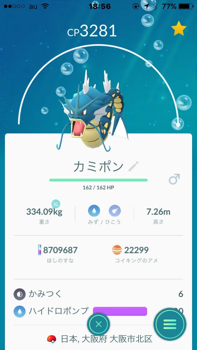 たきのぼり 新ギャラドス ドラテ 凌のポケモンgoのまとめとトレーナー日記 たきのぼり 新ギャラドス ドラテ 凌のポケモンgoのまとめとトレーナー日記