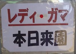 本日来援看板