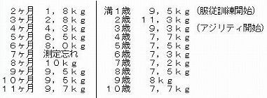 １歳の時の体重を維持しましょう コーギーのレディは名前負け