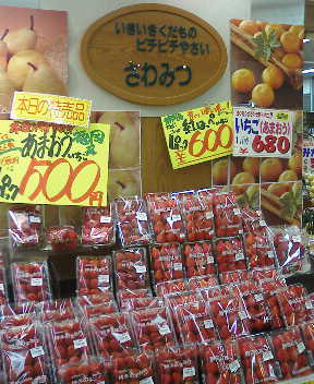 三鷹駅直結 コラル 健在 三鷹 吉祥寺 むさしの中央線倶楽部 三鷹駅直結 コラル 健在 三鷹 吉祥寺 むさしの中央線倶楽部