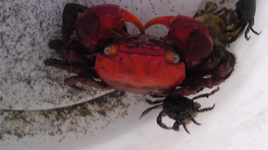 小網代の森散策 三浦の隠れ家サロン ラグーン