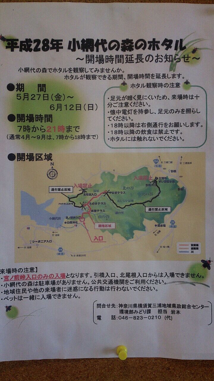 小網代の森ホタル観賞 三浦の隠れ家サロン ラグーン
