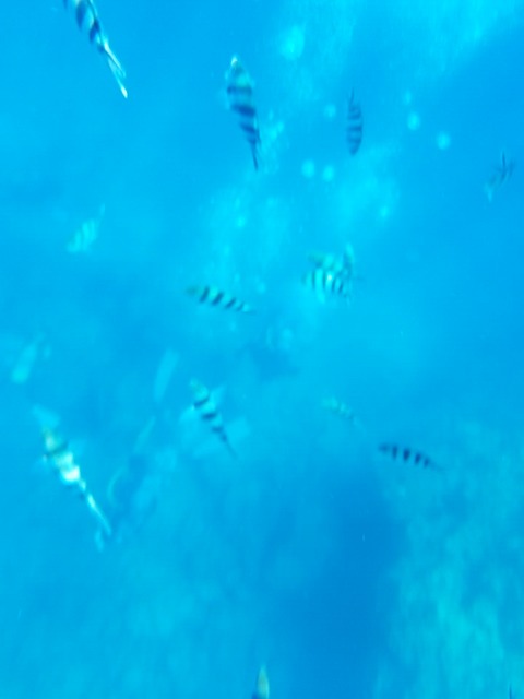 20170701_131741