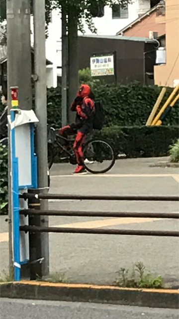 supa