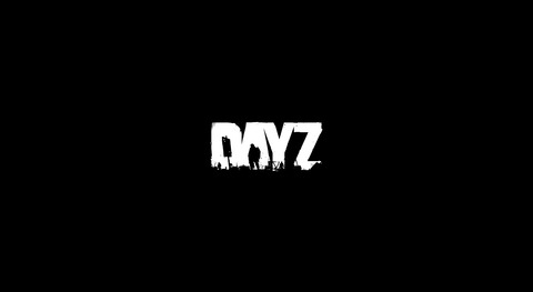 DayZ Standaloneはじめました。