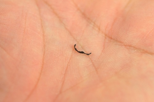 内部のバリやカスが酷い