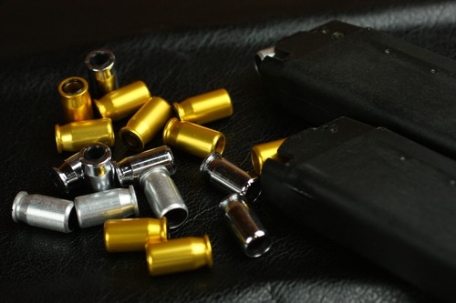 G21カートがごろごろして幸せ