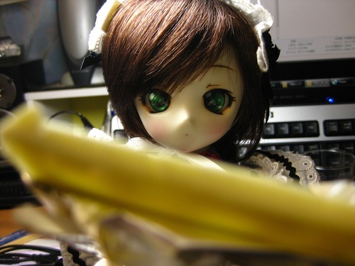 しかたがない奴です