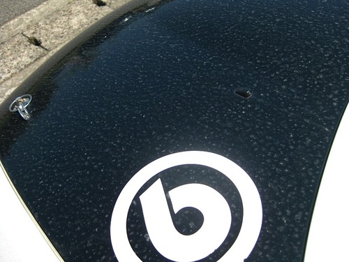 黄砂と鳥の糞で汚れたボンネット