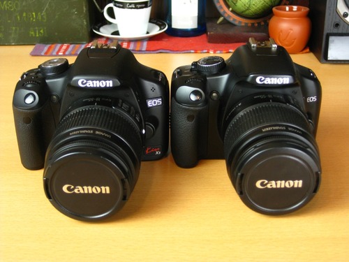 見分けがつかないほど似ている