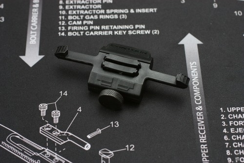 ピカティニーレールマウント