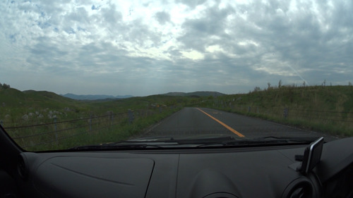 のっぺりとした画