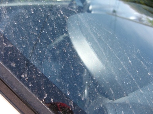 黄砂で汚れたフロントガラス