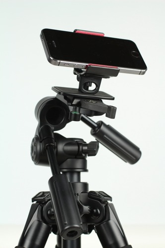 この違和感が意外といける