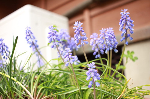 スナップ撮影向け