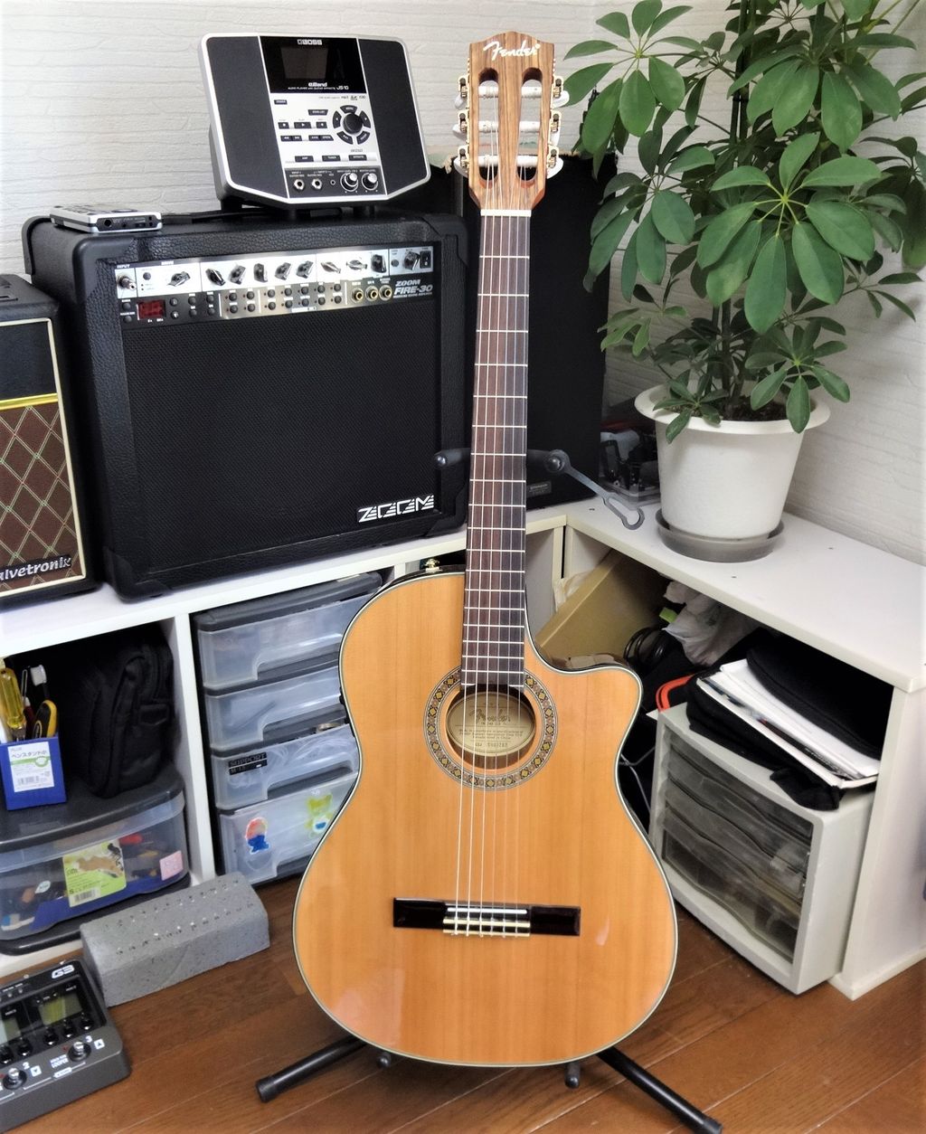FENDER CN-240SCE V2 Thinline エレガット入手 !!】 : Lakeside_Craft