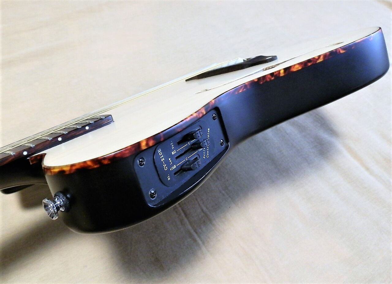 SCHECTER製エレガット【OL-FL-N SNTL】入手！！ : 湖畔工房のブログ