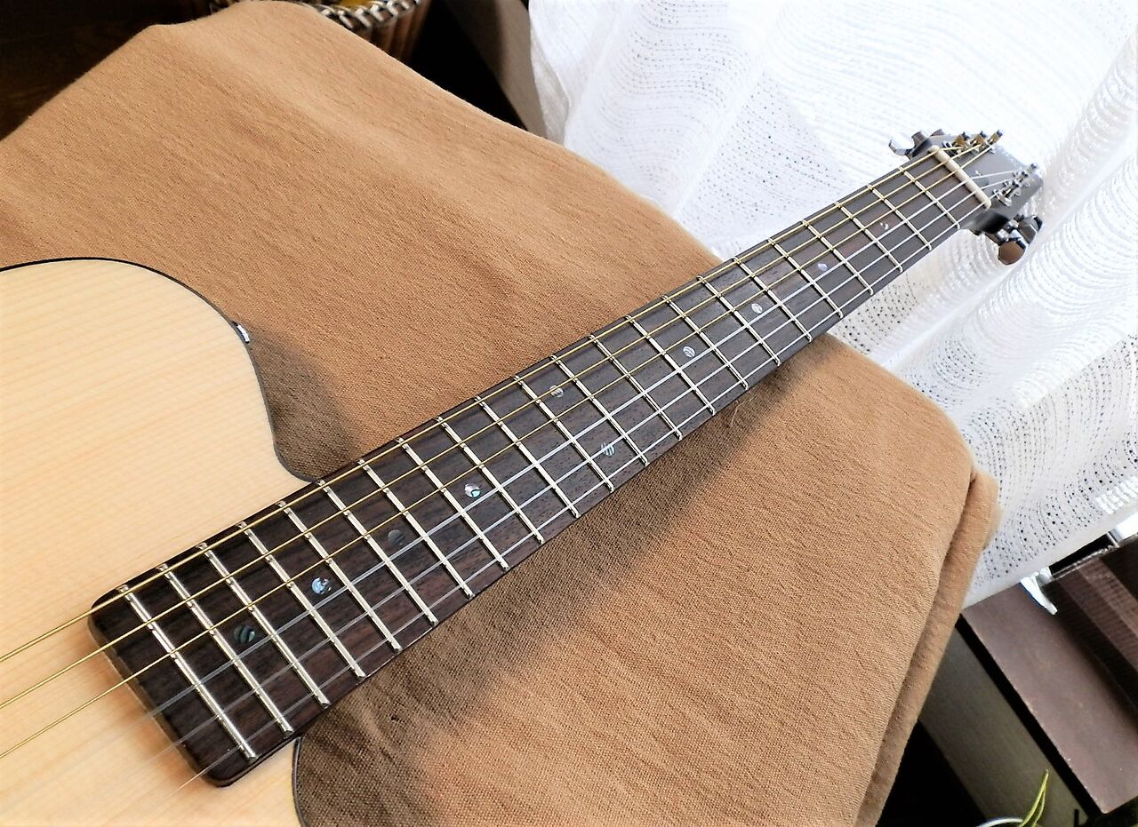 SCHECTER製エレガット【OL-FL-N SNTL】入手！！ : 湖畔工房のブログ