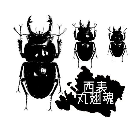 2020 西表島 ヤエヤママルバネ採集記 : NEOの虫採りはいじゃんぷ