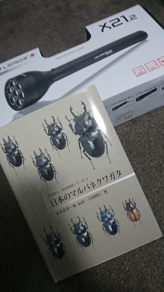 2019 西表島 ヤエヤママルバネ採集記 あとがき : NEOの虫採り