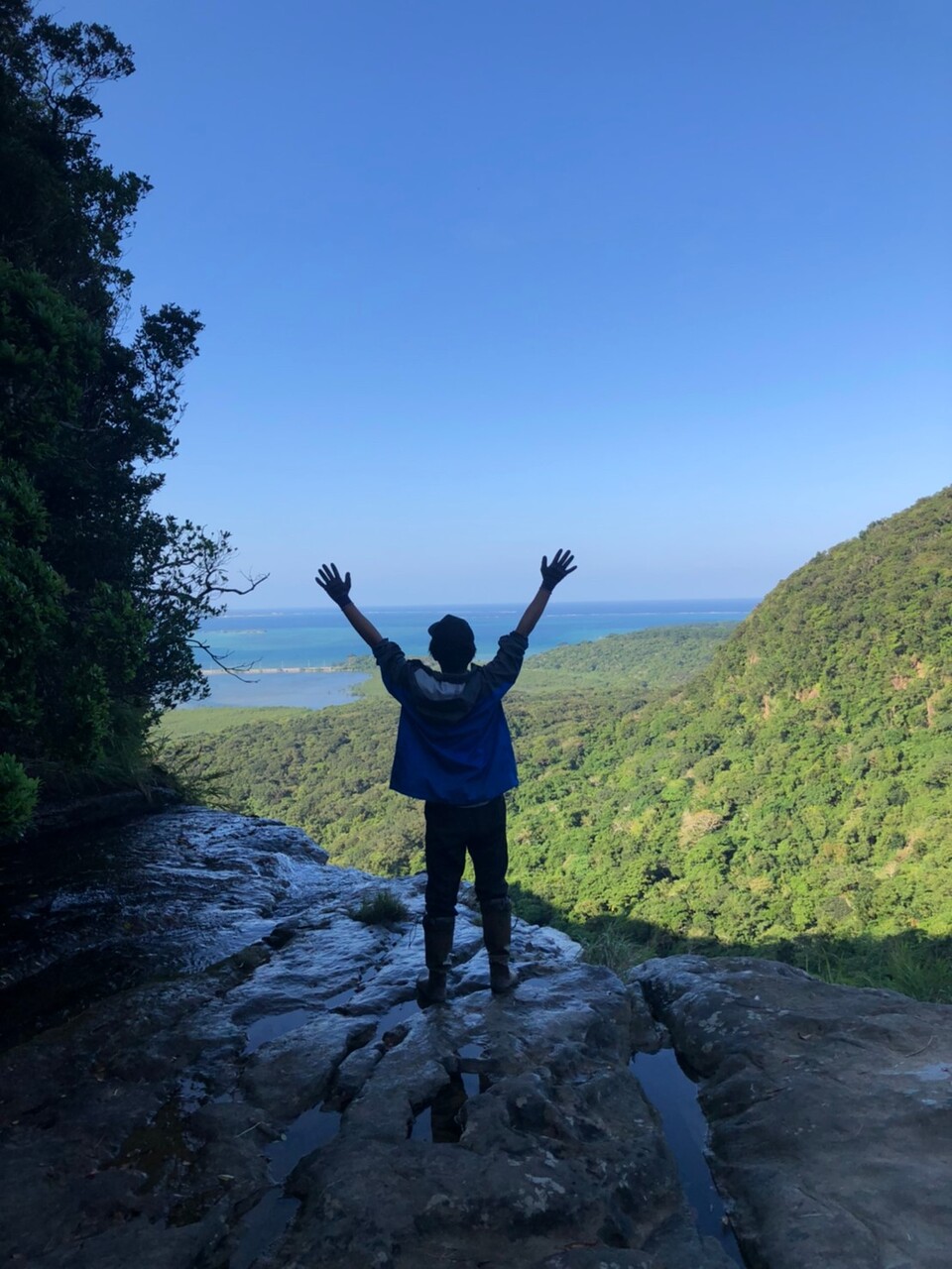 2019 西表島 ヤエヤママルバネ採集記（後編） : NEOの虫採りはいじゃんぷ