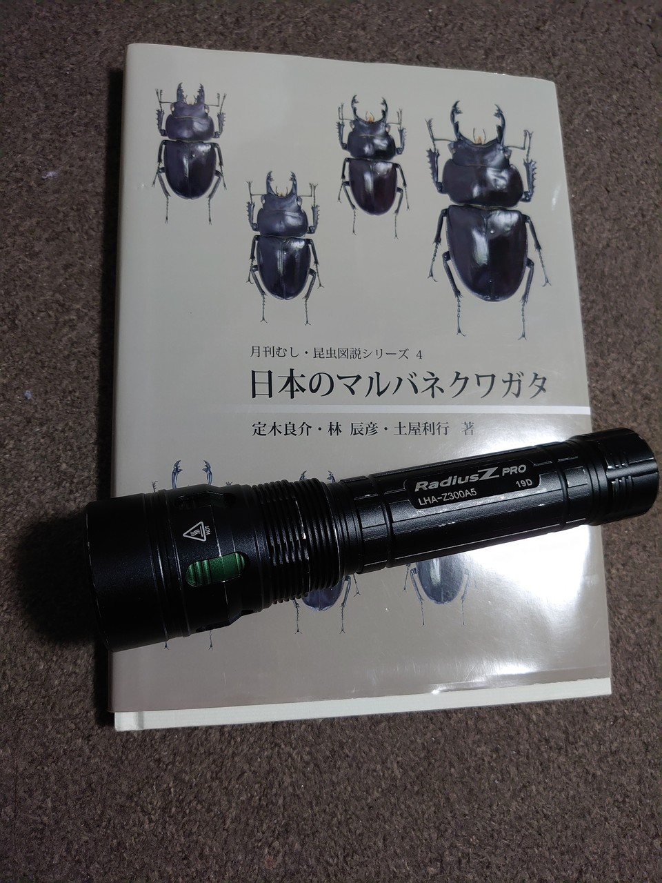 ヤエヤママルバネクワガタセット【規制前採集を含む】 sddefault.jpg