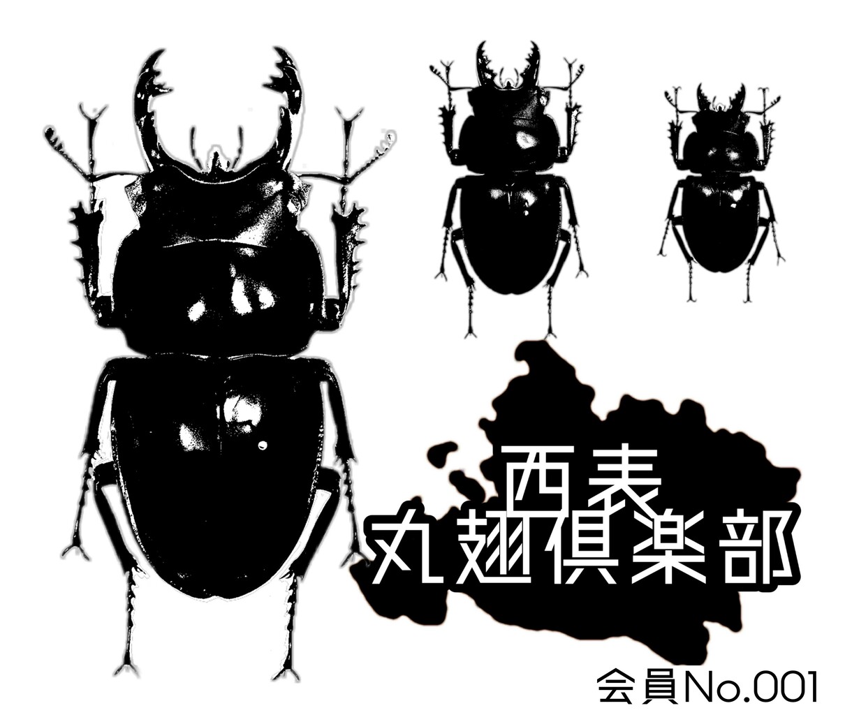 2020 西表島 ヤエヤママルバネ採集記 あとがき : NEOの虫採りはいじゃんぷ