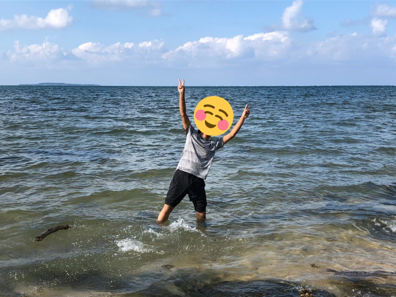 2019 西表島 ヤエヤママルバネ採集記（前編） : NEOの虫採りはいじゃんぷ