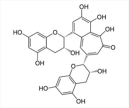 今日の科学 緑茶の中のポリフェノール 日々是精進 今日の科学 緑茶の中のポリフェノール 日々是精進