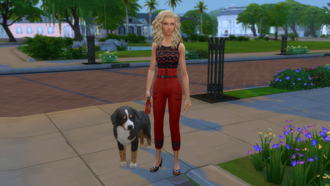 ブロックパーティチャレンジ ４軒目 ファッションインフルエンサーと大型犬が暮らすウッドデッキの家 ラマ記念ブログ