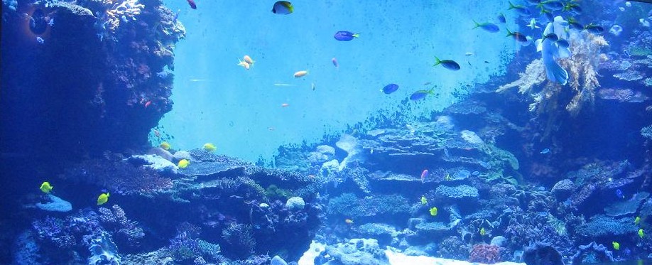 ディスクトップの背景に 人生晴れたり曇ったり
