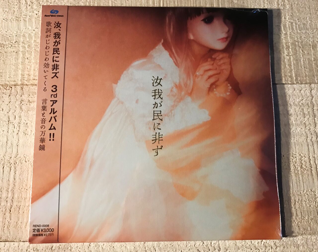 日本のパンク 音楽の話がしたいのさ