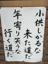 78815f8c.jpg