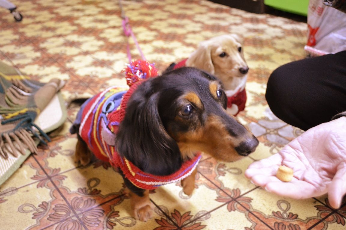 小倉北区 美容室 Lampsiのblog