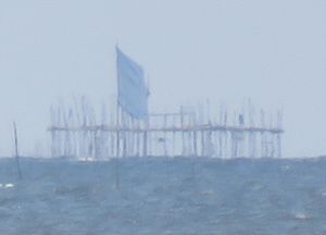 07_08