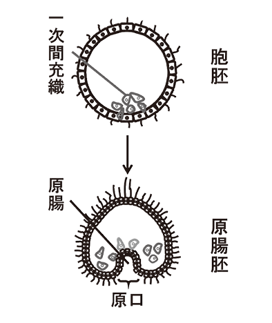 k_sci_bio_12_1_8_3_image03-1