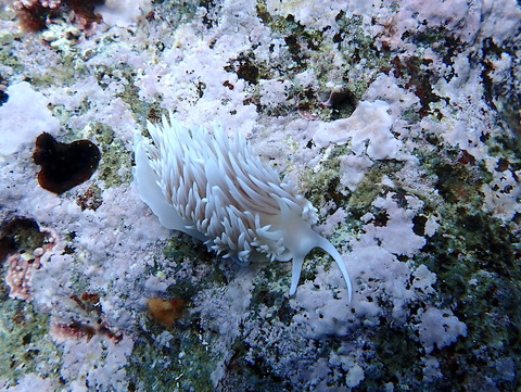 P6010024