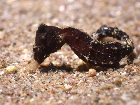 57E7A2F9-2D2A-441E-A708-945D713F82C0