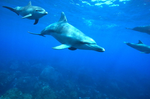 DSC00222のコピー